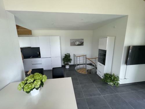 Apartamento Casa Verde - Moos