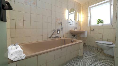Hotel Goldener Hirsch Mosbach