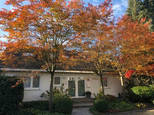 Apartamentos Secret Garden