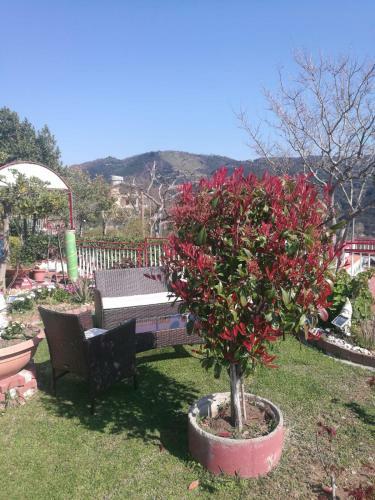 Casa Vacanze Villa Pellegrino