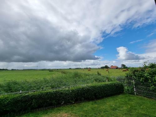 Ferienhaus Weitblick
