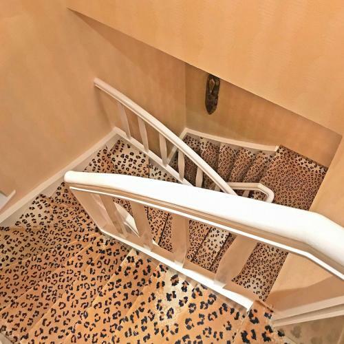 Lion Homestay Munich