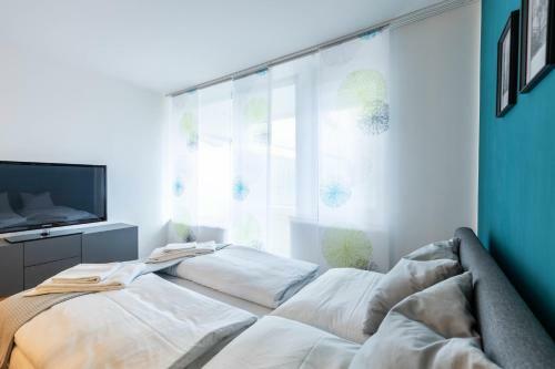 Apartment Blue Moon