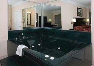 Hotel Scottish Inn And Suites Alvin