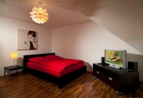 Apartamento Boardinghaus Koblenz Altstadt