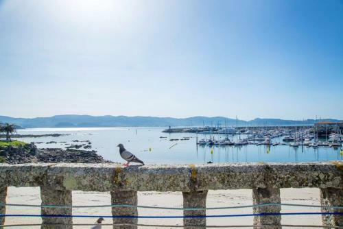 Apartamento �tico Welcome Playa Panadeira