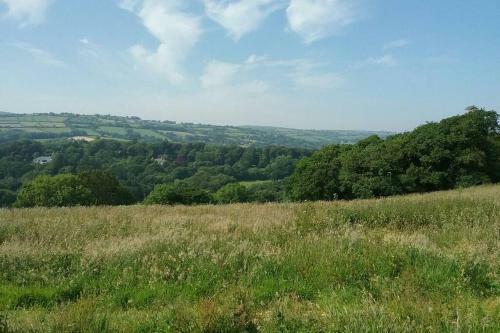 Stags View,unique Eco Cabin, Dartmoor Views