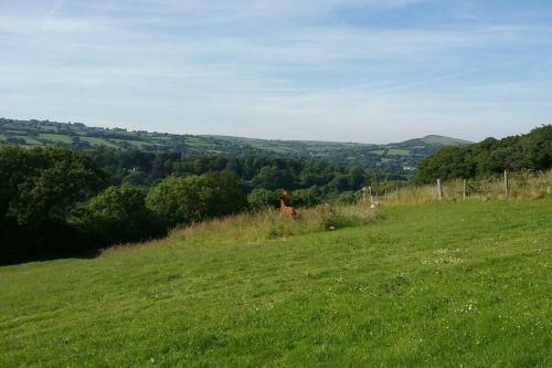 Foxesden, Unique Eco Cabin, Dartmoor Views