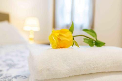 Ca Cicogna Air Conditioning And Fast Wifi, Central Location Apartment