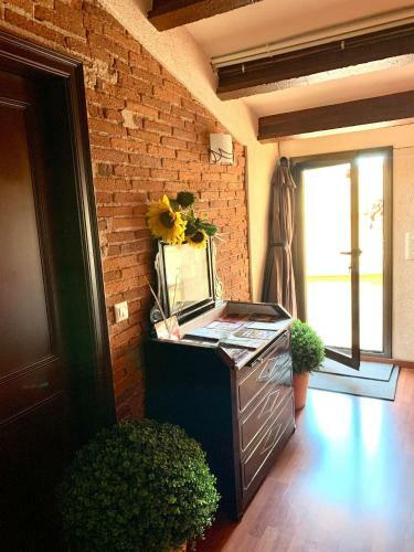 Apartamento Les Golfes De Can Mascarb�