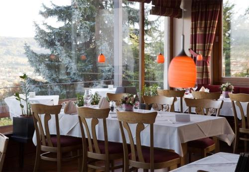 Hotel Gasthaus Maien