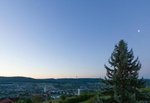 Hotel Gasthaus Maien