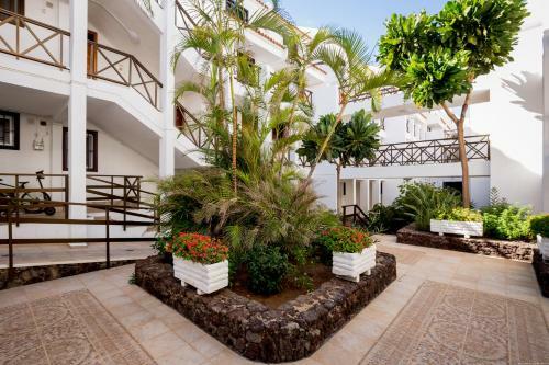 Go2tenerife Apart'pesca Rooftop Santiago 1