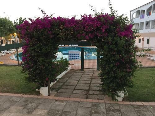Apartamento Con Piscina Junto A La Playa - Turqueta.