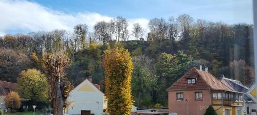 Apartamento Ferienwohnung Stecklenburg