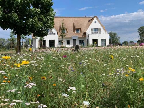 Apartamento Urlaub De Luxe Unter Reet Haendel