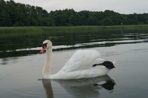 Apartamento Haus Am See