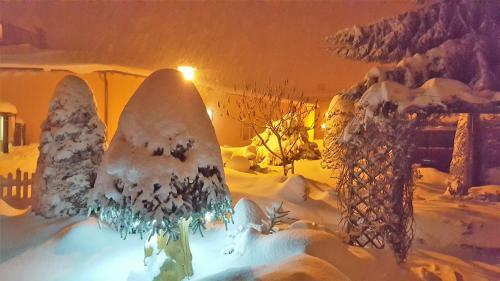 Hostal Pension & Gasthof "am Park" Ug