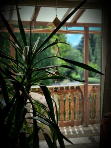 Apartamento Ferienwohnung Lehmann"am Domberg"