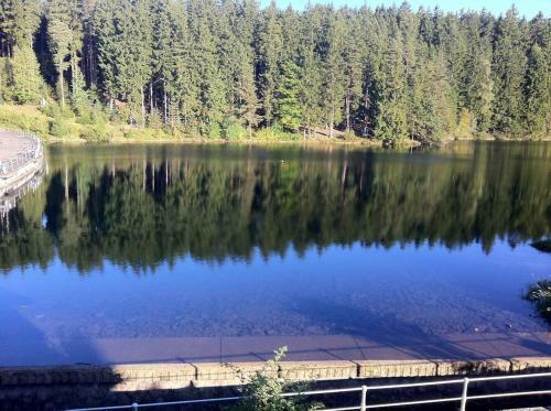 Apartamento Haus Am See