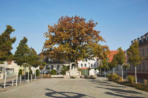 Apartamento Altstadtloft Teltow