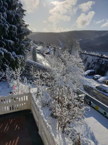Apartamento Ferienhaus Haus Herzog