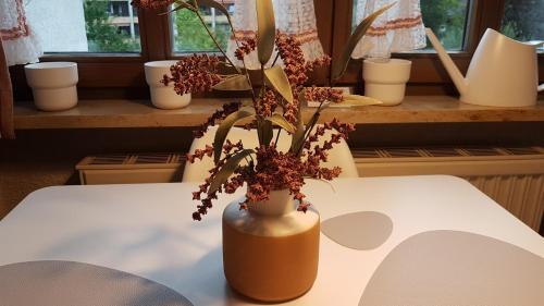 Apartamento Kupferkanne App. 17
