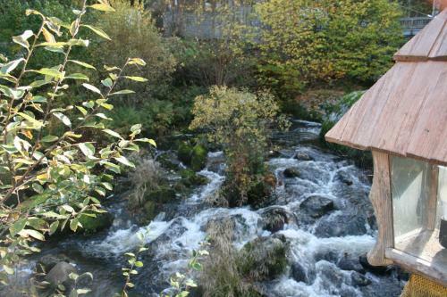 Hostal G�stehaus Zur Lilie