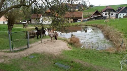Apartamento Ferienhof "zum Waldblick"