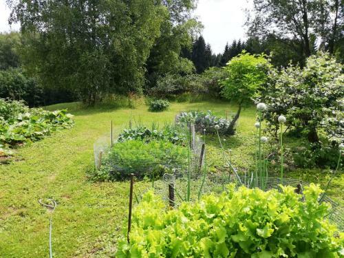 Apartamento Fahrenbach-alm