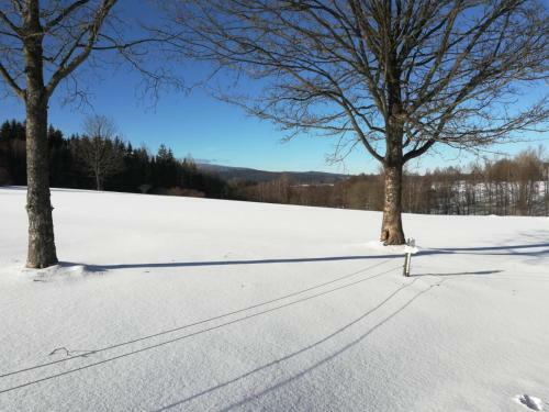 Apartamento Fahrenbach-alm