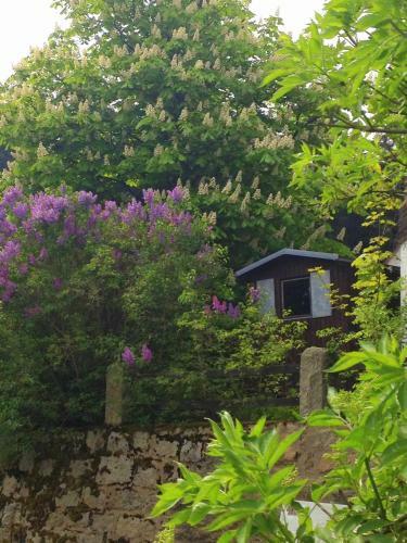 Apartamento Antjes Kleines Nest