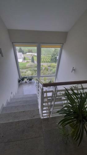 Apartamento Casa La Vino