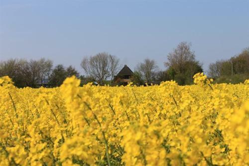 Apartamento Ferienhof Am Deich
