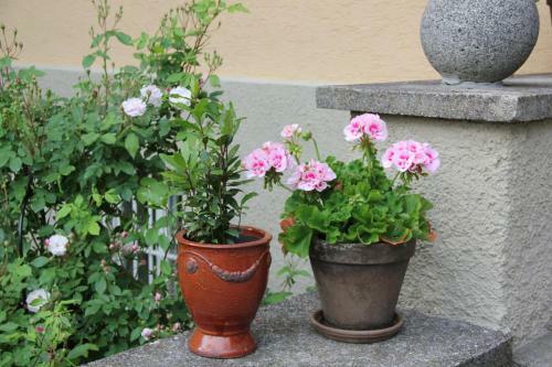 Villa Zollhaus Bed & Breakfast