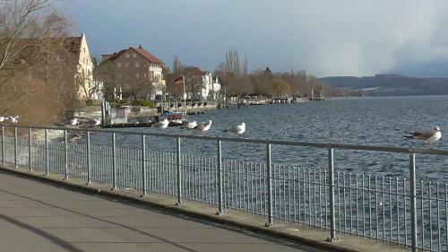 Apartamento Neu ... In 2 Min. Am Bodensee