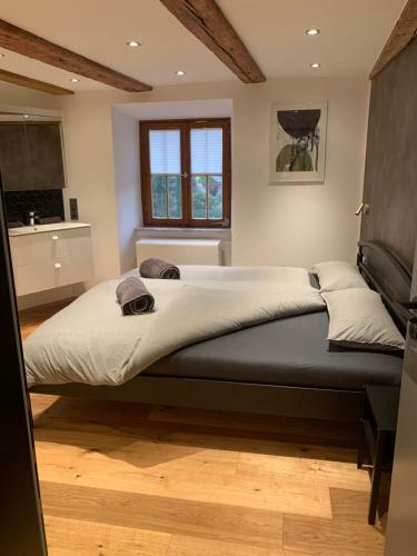 Apartamento Ferienwohnung Am Salmansweiler Hof
