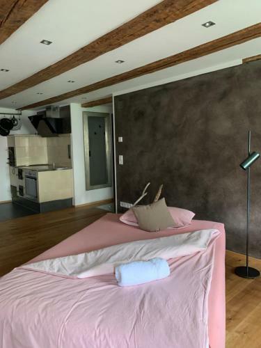 Apartamento Ferienwohnung Am Salmansweiler Hof