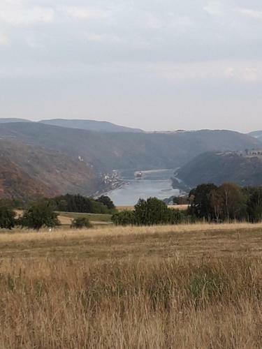 Apartamento Ferienwohnung 554 - Urbar, Vis-�-vis Der Loreley
