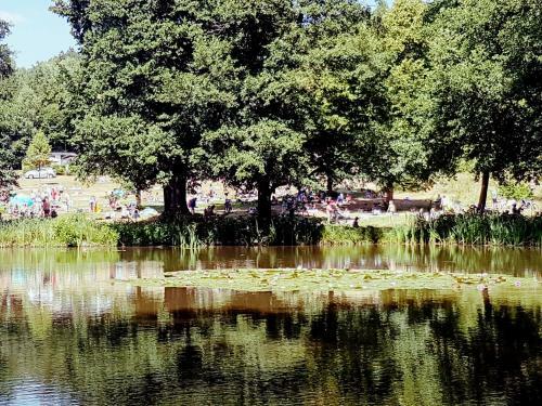 Ferienhaus Direkt Am Badesee Bungalow 11 Sch�nsee