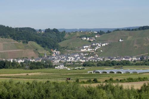 Apartamento 'ferienhaus Mosel'