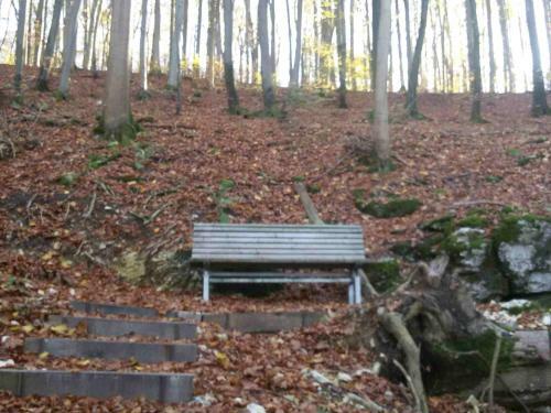 Apartamento Ferienwohnung Mohnblume