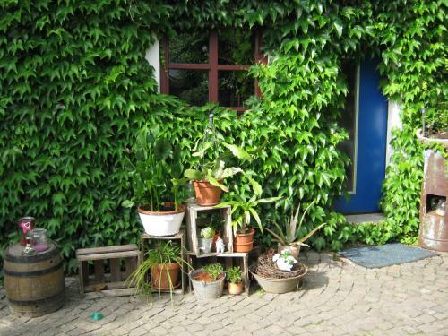 Hotel Stierstall-suite Pension Wahlenau