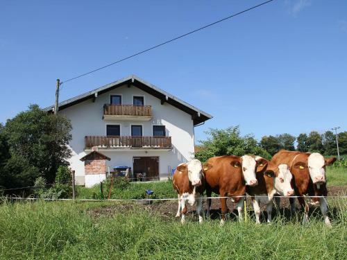 Apartamento Haslacher Hof
