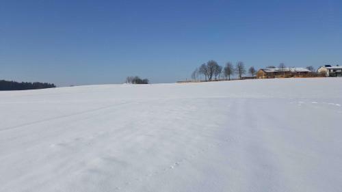 Apartamento Ferienhof Gold
