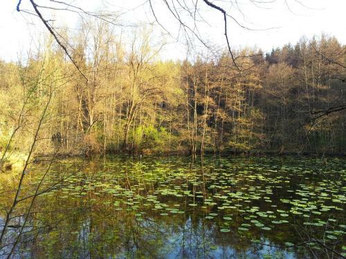 Apartamento Schoenbuchjuwel