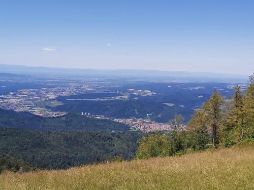 Apartamento Heikes Ferienwohnung Waldkirch