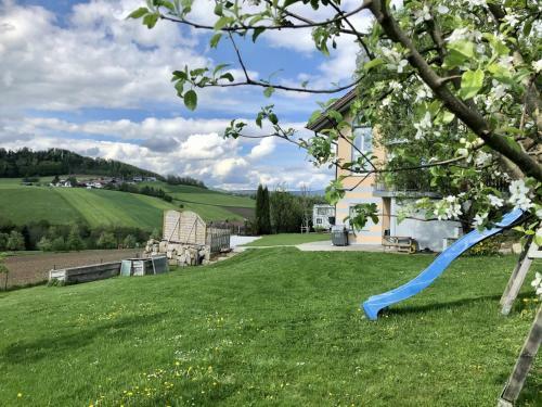 Apartamento Ferienwohnung Mintbraun