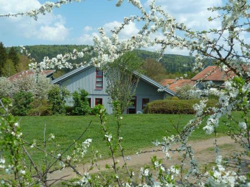 Ferienhaus Nr 10a2, Feriendorf Hagb�gerl, Bayr Wald