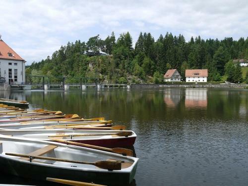 Ferienhaus Nr 1c, Feriendorf Hagb�gerl, Bayr Wald